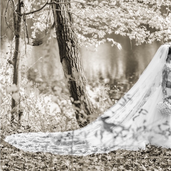 Beautiful Cathedral Length Mantilla Veil Delicate Lace Sequins - Picture 8 of 11